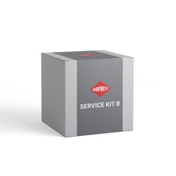 Servicekit B 4000 h APS 30 2IVR
